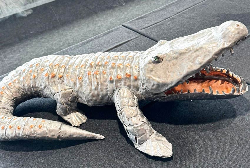 Krokodil Spengler-Wettbewerb