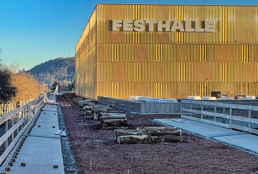 Festhalle Bern, Vordach mit Totholz